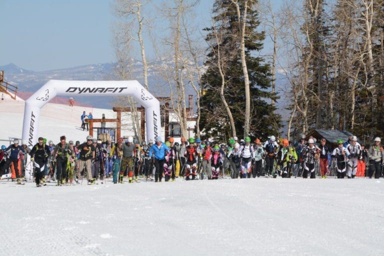 Thank You for Your Support!